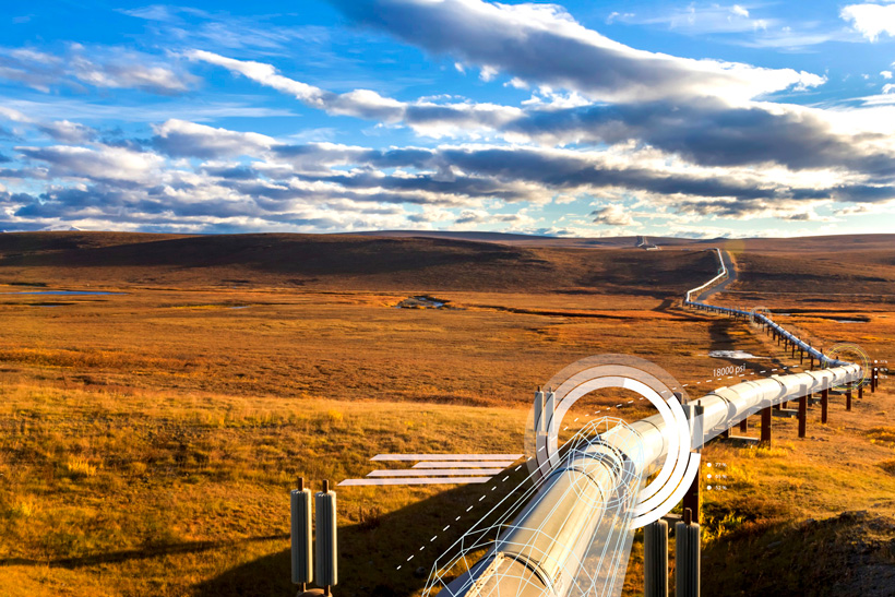 1615626229637423.jpg 1573807977988970.jpg